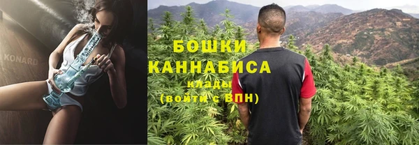 крисы Белокуриха